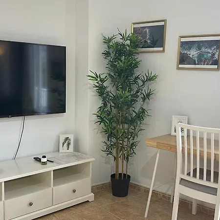 Apartment In La Laguna *